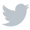 Icon client - Twitter